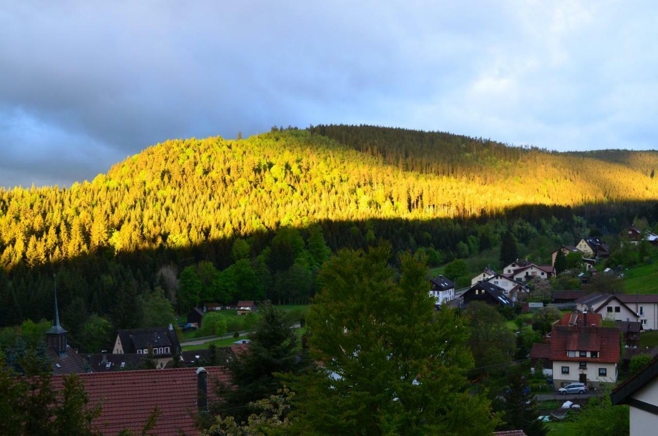 Ferienwohnung Am Kurpark Bad Wildbad Ngoại thất bức ảnh