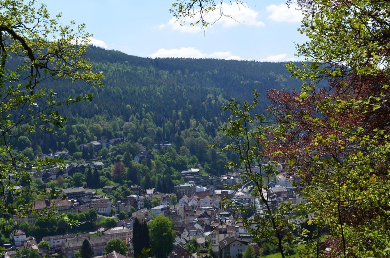 Ferienwohnung Am Kurpark Bad Wildbad Ngoại thất bức ảnh